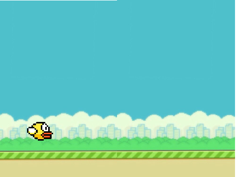 flapy bird